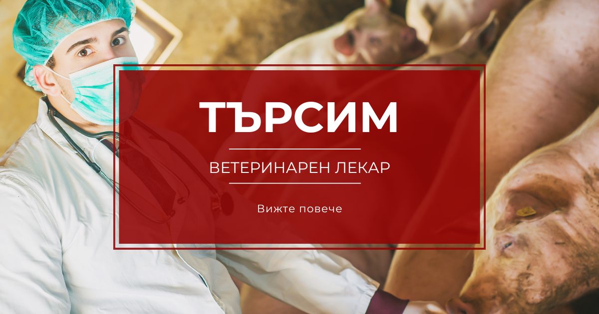 Ветеринарен лекар свинеферма
