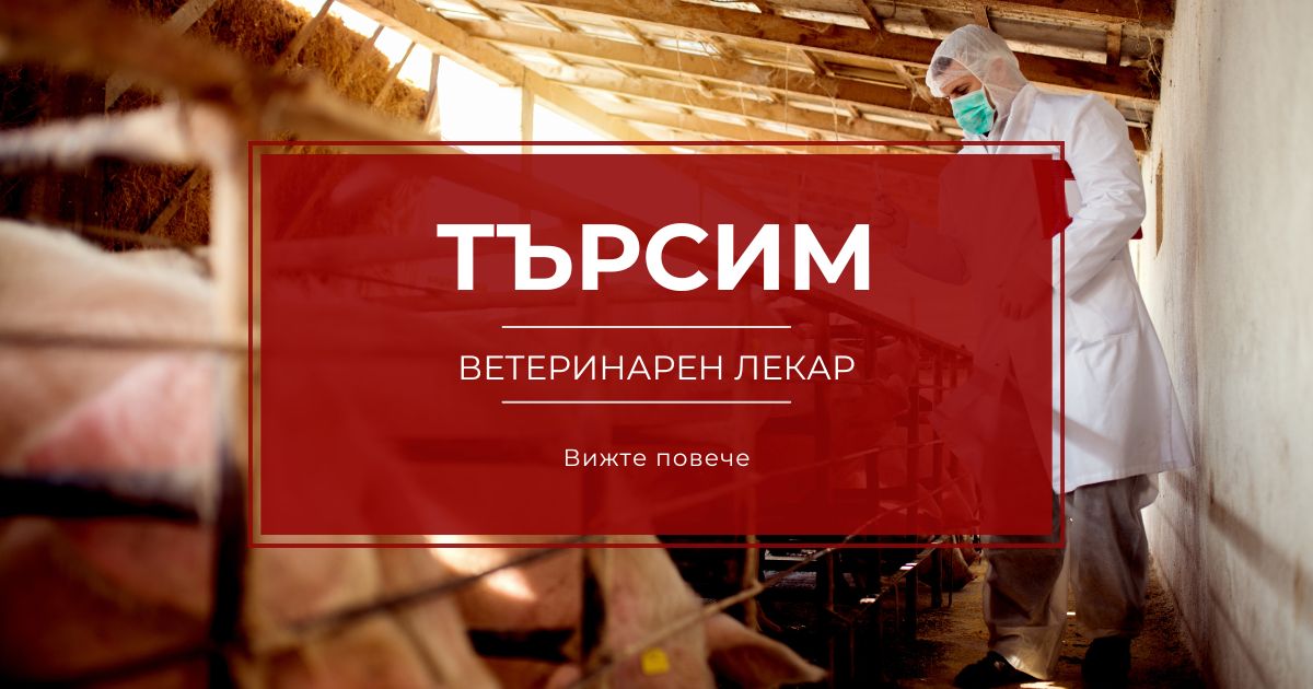 Ветеринарен лекар свинеферма