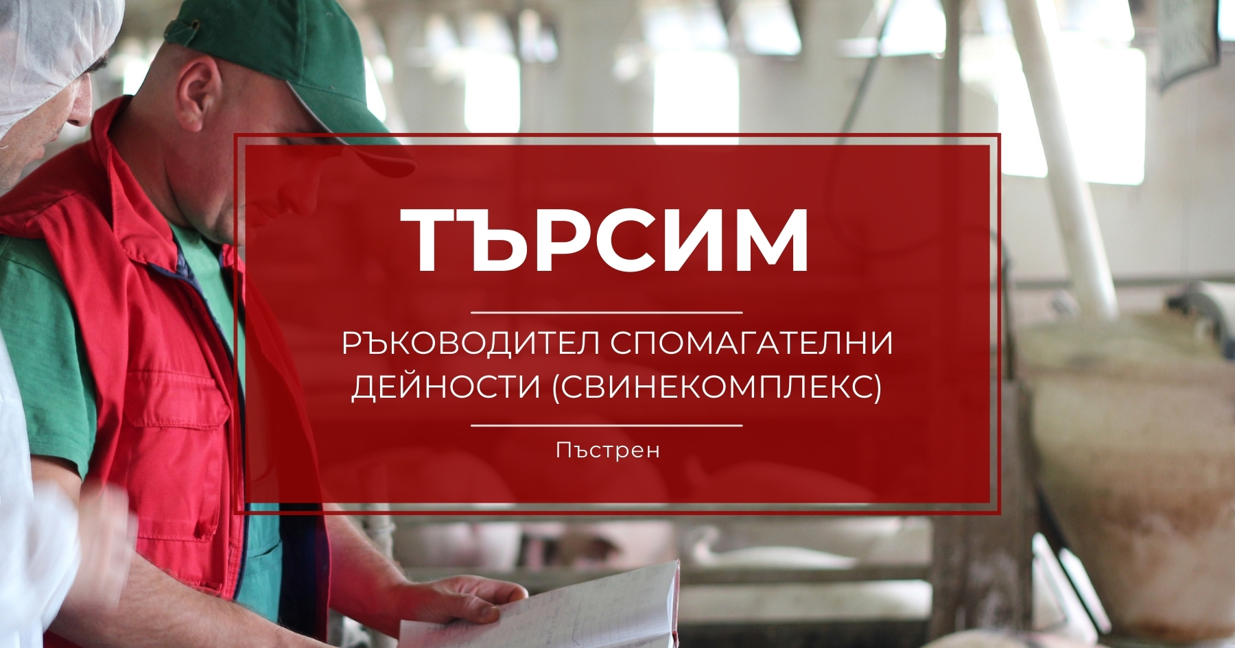 Работа Ръководител спомагателни дейности (Свинекомплекс)